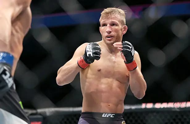 Garbrandt Battles Dillashaw as Underdog on UFC 227 Odds