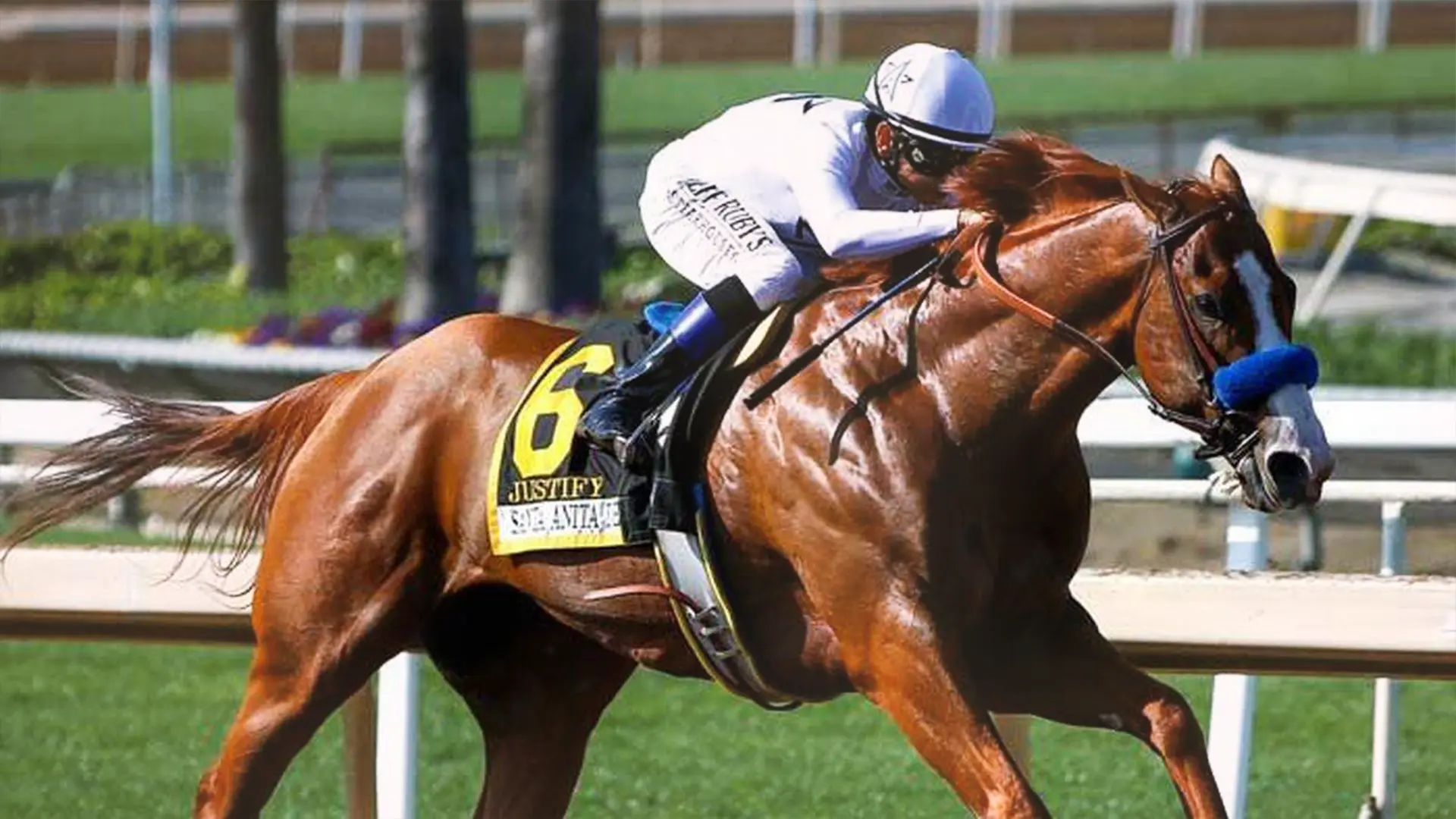 KENTUCKY DERBY ODDS AND PREVIEW