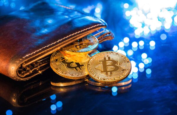 Best Crypto Wallets