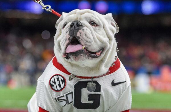 NCAAF Crypto Betting