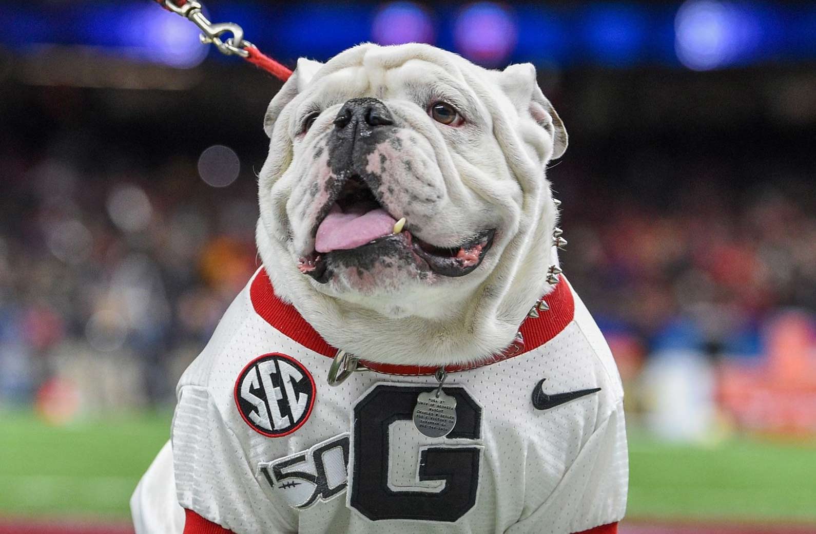 NCAAF Crypto Betting - Bovadahub.com